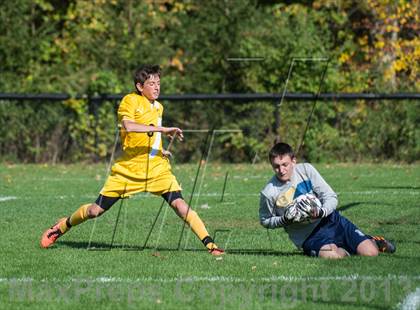 Thumbnail 2 in Immaculate @ Joel Barlow photogallery.