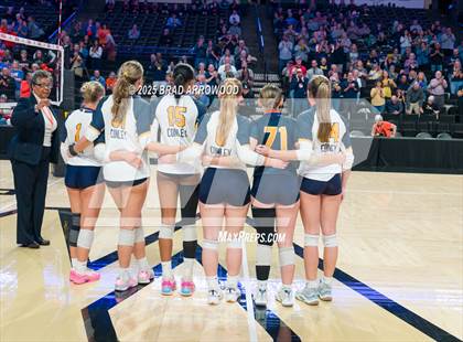 Thumbnail 1 in D.H. Conley vs Marvin Ridge (NCHSAA 7A Final) photogallery.