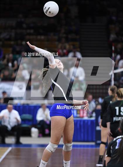 Thumbnail 1 in Discovery Canyon vs. Longmont (CHSAA 4A Playoff) photogallery.