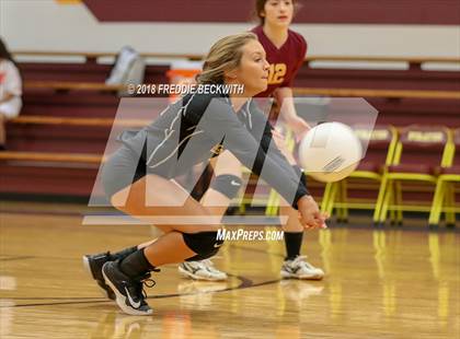 Thumbnail 2 in Wolfe City @ Collinsville photogallery.