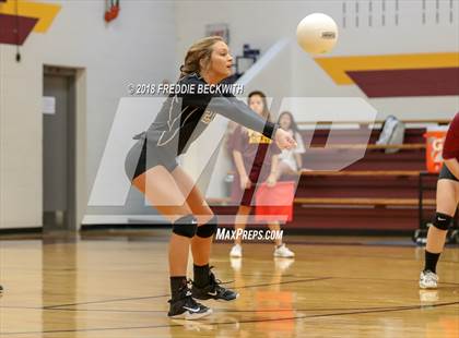 Thumbnail 3 in Wolfe City @ Collinsville photogallery.