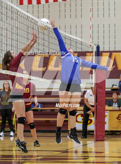 Thumbnail 3 in Wolfe City @ Collinsville photogallery.