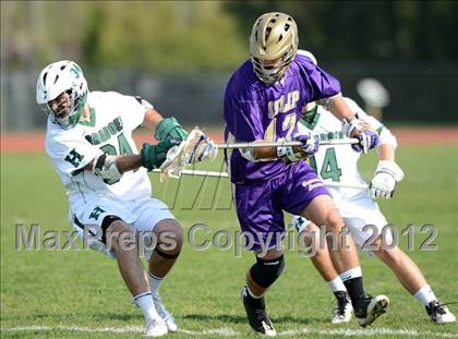 Thumbnail 1 in Islip @ Harborfields photogallery.