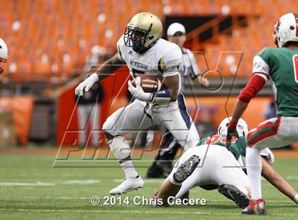 Thumbnail 2 in Jamestown vs. Newburgh Free Academy (NYSPHSAA Class AA Final) photogallery.