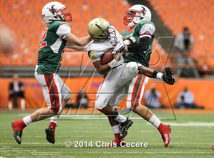 Thumbnail 3 in Jamestown vs. Newburgh Free Academy (NYSPHSAA Class AA Final) photogallery.