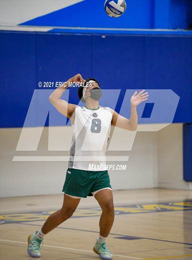 null - Photo 11