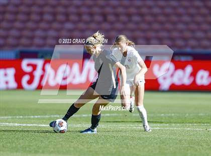 Thumbnail 1 in American Fork vs. Lone Peak (UHSAA 6A Final) photogallery.