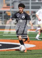 Photo from the gallery "Highland @ Murray"