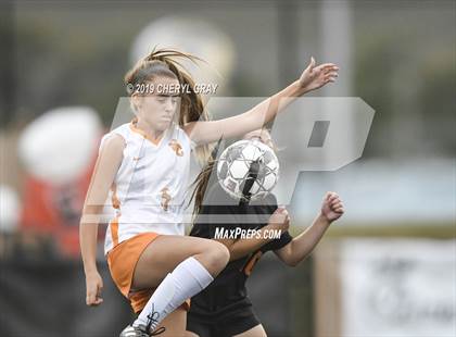 Thumbnail 1 in Sullivan Central @ Elizabethton (TSSAA District 1-AA Semifinal) photogallery.