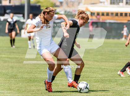 Thumbnail 2 in Los Fresnos vs. Steele (UIL 6A Regional Semi Final) photogallery.
