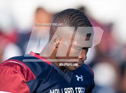 Thumbnail 2 in David W. Butler @ Mallard Creek photogallery.