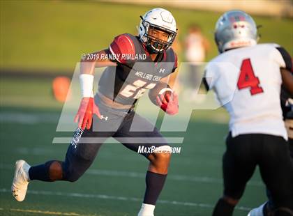 Thumbnail 3 in David W. Butler @ Mallard Creek photogallery.
