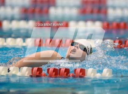 Thumbnail 1 in CHSAA 3A Girls Swimming - State Championship photogallery.
