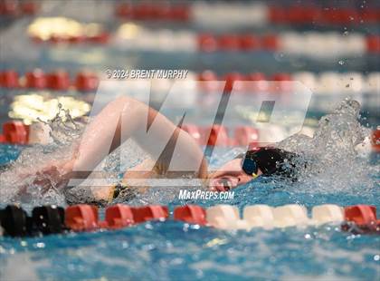 Thumbnail 1 in CHSAA 3A Girls Swimming - State Championship photogallery.