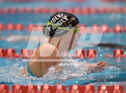 Thumbnail 1 in CHSAA 3A Girls Swimming - State Championship photogallery.