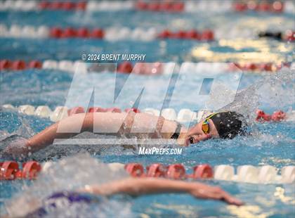 Thumbnail 3 in CHSAA 3A Girls Swimming - State Championship photogallery.