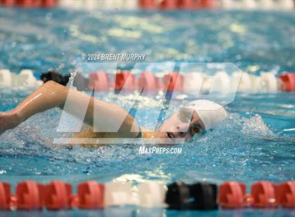 Thumbnail 1 in CHSAA 3A Girls Swimming - State Championship photogallery.