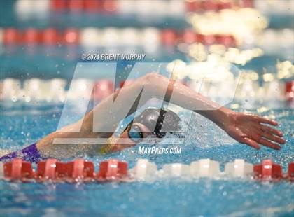 Thumbnail 2 in CHSAA 3A Girls Swimming - State Championship photogallery.