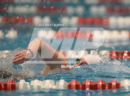 Thumbnail 1 in CHSAA 3A Girls Swimming - State Championship photogallery.