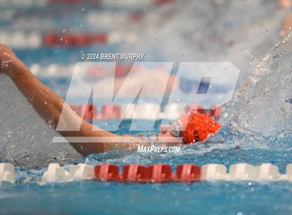 Thumbnail 1 in CHSAA 3A Girls Swimming - State Championship photogallery.