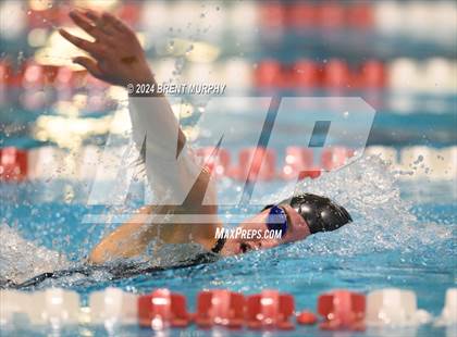 Thumbnail 1 in CHSAA 3A Girls Swimming - State Championship photogallery.