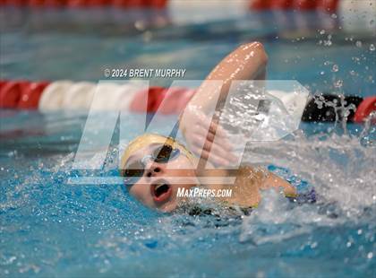 Thumbnail 1 in CHSAA 3A Girls Swimming - State Championship photogallery.