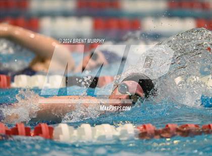 Thumbnail 1 in CHSAA 3A Girls Swimming - State Championship photogallery.