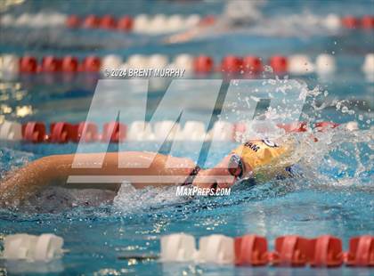 Thumbnail 2 in CHSAA 3A Girls Swimming - State Championship photogallery.