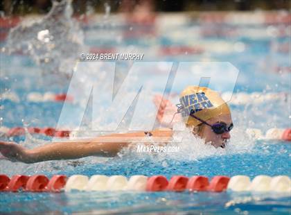 Thumbnail 2 in CHSAA 3A Girls Swimming - State Championship photogallery.