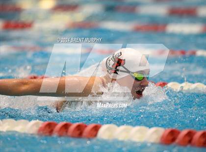 Thumbnail 1 in CHSAA 3A Girls Swimming - State Championship photogallery.