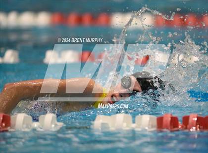 Thumbnail 1 in CHSAA 3A Girls Swimming - State Championship photogallery.