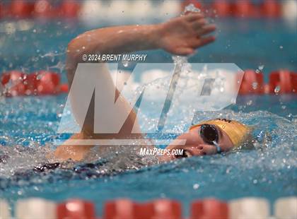 Thumbnail 2 in CHSAA 3A Girls Swimming - State Championship photogallery.