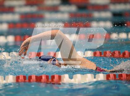 Thumbnail 1 in CHSAA 3A Girls Swimming - State Championship photogallery.