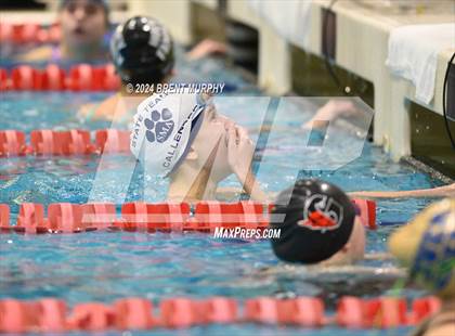 Thumbnail 2 in CHSAA 3A Girls Swimming - State Championship photogallery.