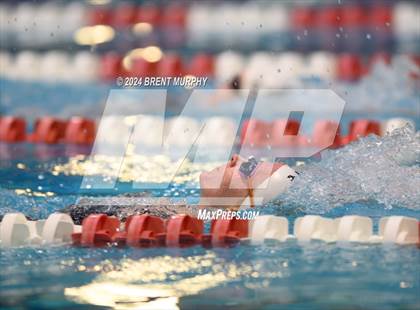 Thumbnail 3 in CHSAA 3A Girls Swimming - State Championship photogallery.