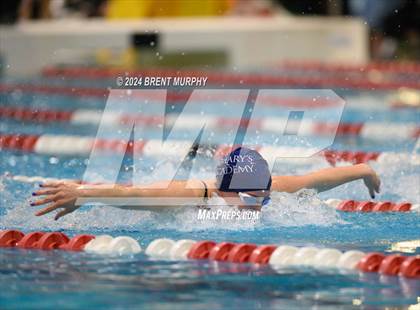 Thumbnail 3 in CHSAA 3A Girls Swimming - State Championship photogallery.