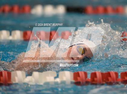 Thumbnail 3 in CHSAA 3A Girls Swimming - State Championship photogallery.