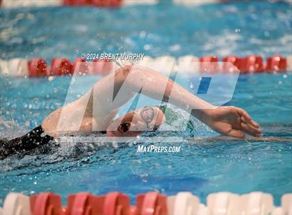 Thumbnail 3 in CHSAA 3A Girls Swimming - State Championship photogallery.
