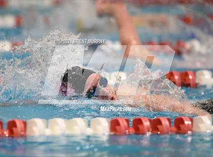 Thumbnail 1 in CHSAA 3A Girls Swimming - State Championship photogallery.