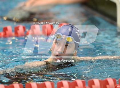 Thumbnail 3 in CHSAA 3A Girls Swimming - State Championship photogallery.