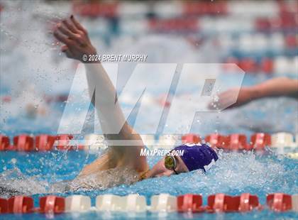 Thumbnail 1 in CHSAA 3A Girls Swimming - State Championship photogallery.