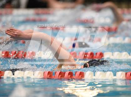 Thumbnail 3 in CHSAA 3A Girls Swimming - State Championship photogallery.