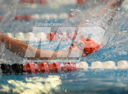Thumbnail 2 in CHSAA 3A Girls Swimming - State Championship photogallery.