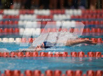 Thumbnail 2 in CHSAA 3A Girls Swimming - State Championship photogallery.