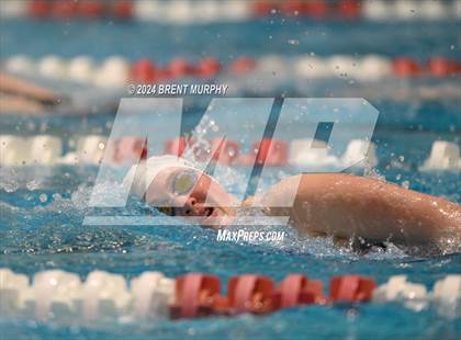 Thumbnail 3 in CHSAA 3A Girls Swimming - State Championship photogallery.