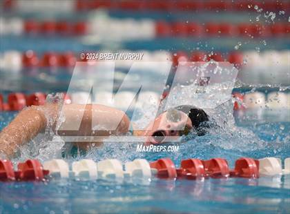 Thumbnail 2 in CHSAA 3A Girls Swimming - State Championship photogallery.