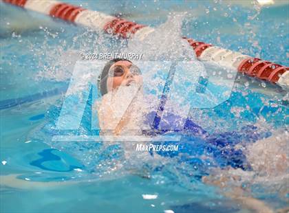 Thumbnail 1 in CHSAA 3A Girls Swimming - State Championship photogallery.