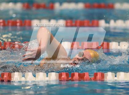 Thumbnail 2 in CHSAA 3A Girls Swimming - State Championship photogallery.