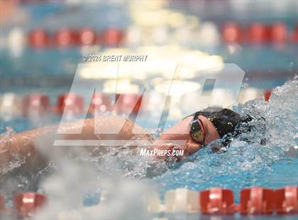 Thumbnail 1 in CHSAA 3A Girls Swimming - State Championship photogallery.