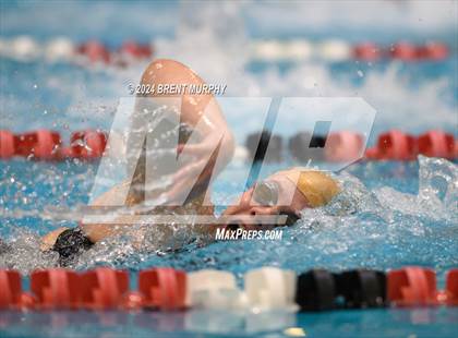 Thumbnail 2 in CHSAA 3A Girls Swimming - State Championship photogallery.